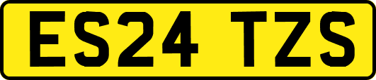 ES24TZS