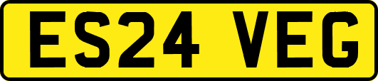 ES24VEG