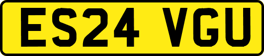 ES24VGU