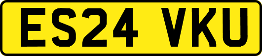 ES24VKU