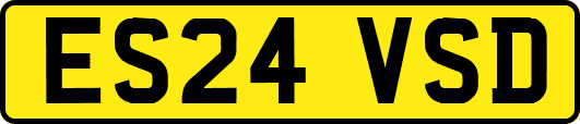 ES24VSD