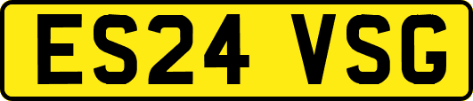 ES24VSG