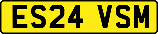 ES24VSM