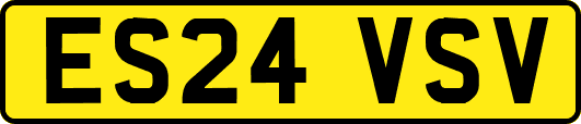 ES24VSV