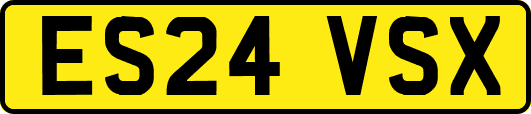 ES24VSX