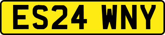 ES24WNY
