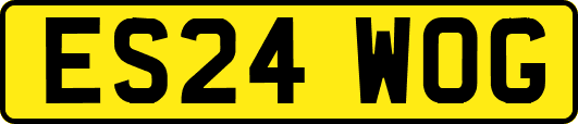 ES24WOG