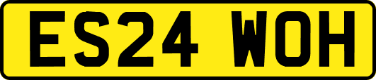 ES24WOH