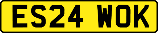 ES24WOK