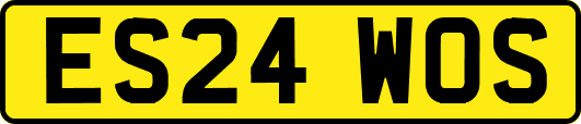 ES24WOS