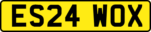 ES24WOX