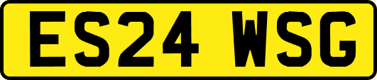 ES24WSG