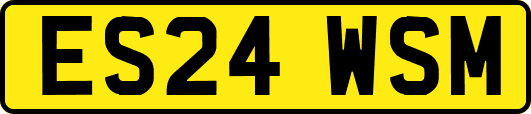 ES24WSM