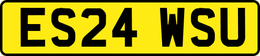 ES24WSU