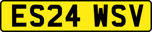 ES24WSV