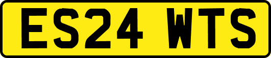 ES24WTS