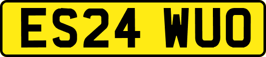 ES24WUO