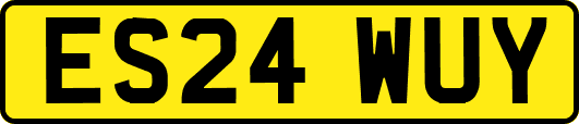 ES24WUY