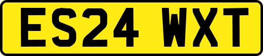ES24WXT