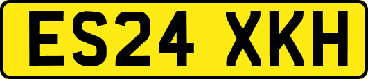 ES24XKH