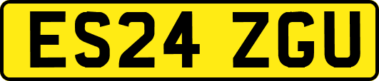 ES24ZGU