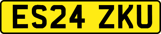 ES24ZKU
