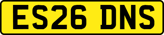 ES26DNS