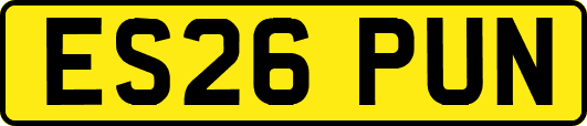 ES26PUN