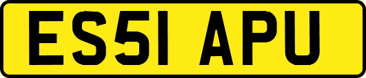 ES51APU