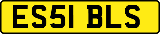 ES51BLS