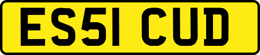 ES51CUD
