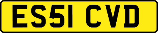 ES51CVD