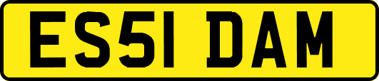ES51DAM