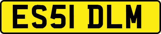 ES51DLM
