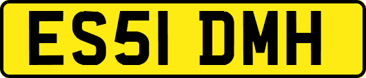 ES51DMH