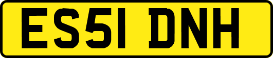 ES51DNH