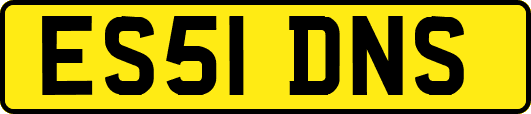 ES51DNS