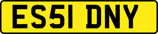 ES51DNY