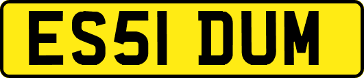 ES51DUM