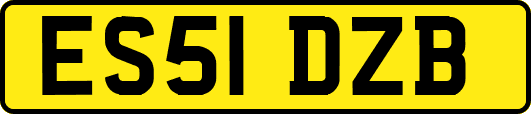 ES51DZB