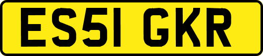 ES51GKR