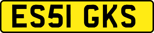 ES51GKS