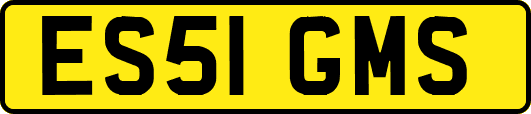 ES51GMS