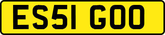 ES51GOO