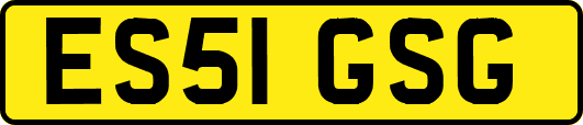 ES51GSG