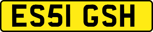 ES51GSH