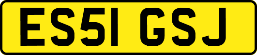 ES51GSJ