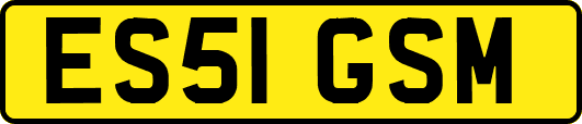 ES51GSM