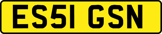ES51GSN