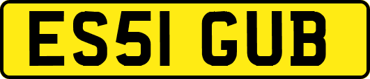 ES51GUB